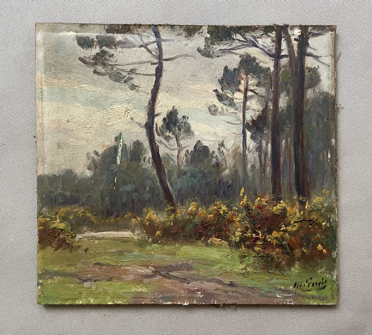 Louis Marius GUEIT, Pins des Landes