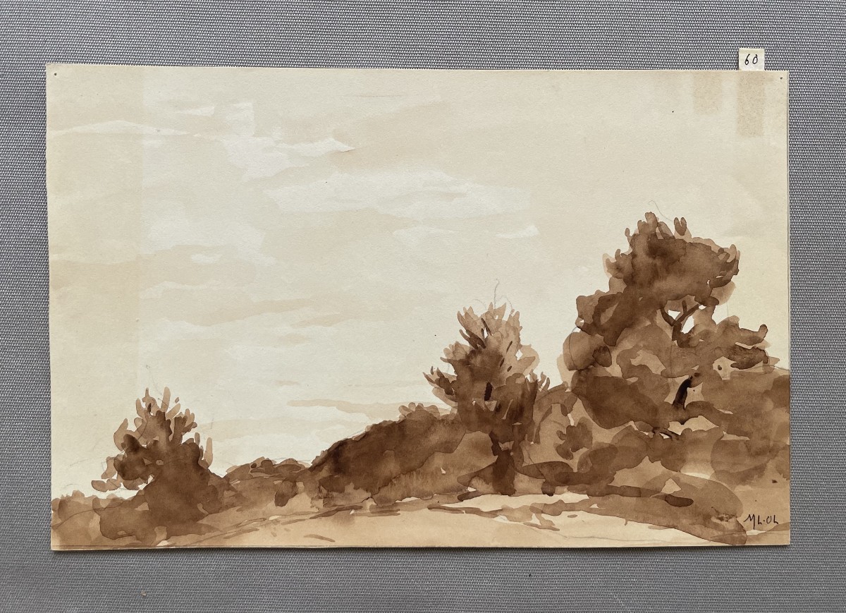 Marie-Louise Lustremant, paysage arboré, lavis d'encre brune