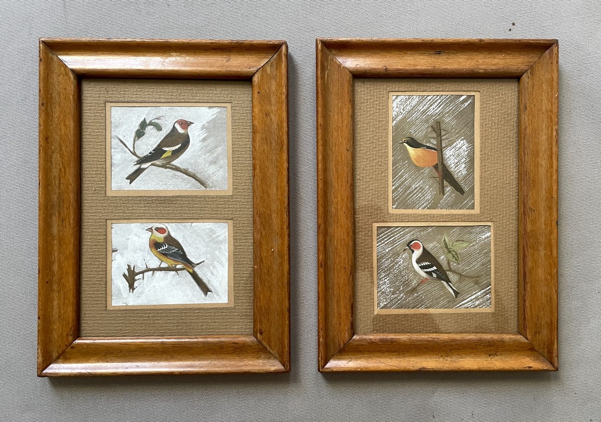 Oiseaux, gouaches, début XXe