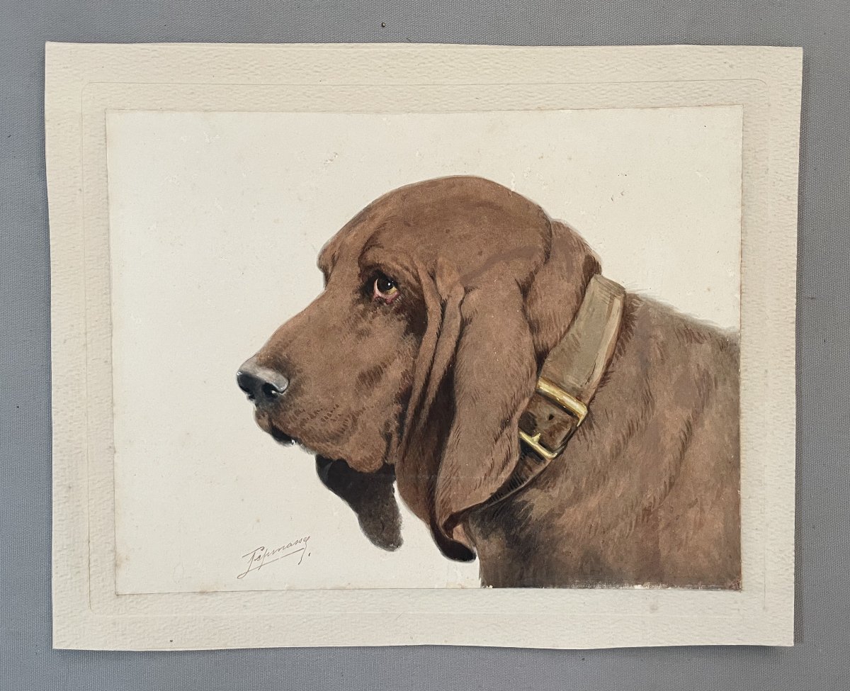 Hunting Dog, Watercolor, Signature To Be Identified-photo-2