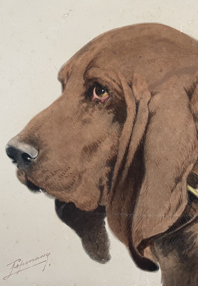 Hunting Dog, Watercolor, Signature To Be Identified-photo-4