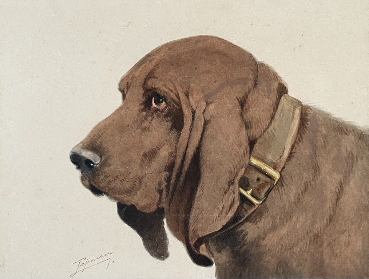 Hunting Dog, Watercolor, Signature To Be Identified