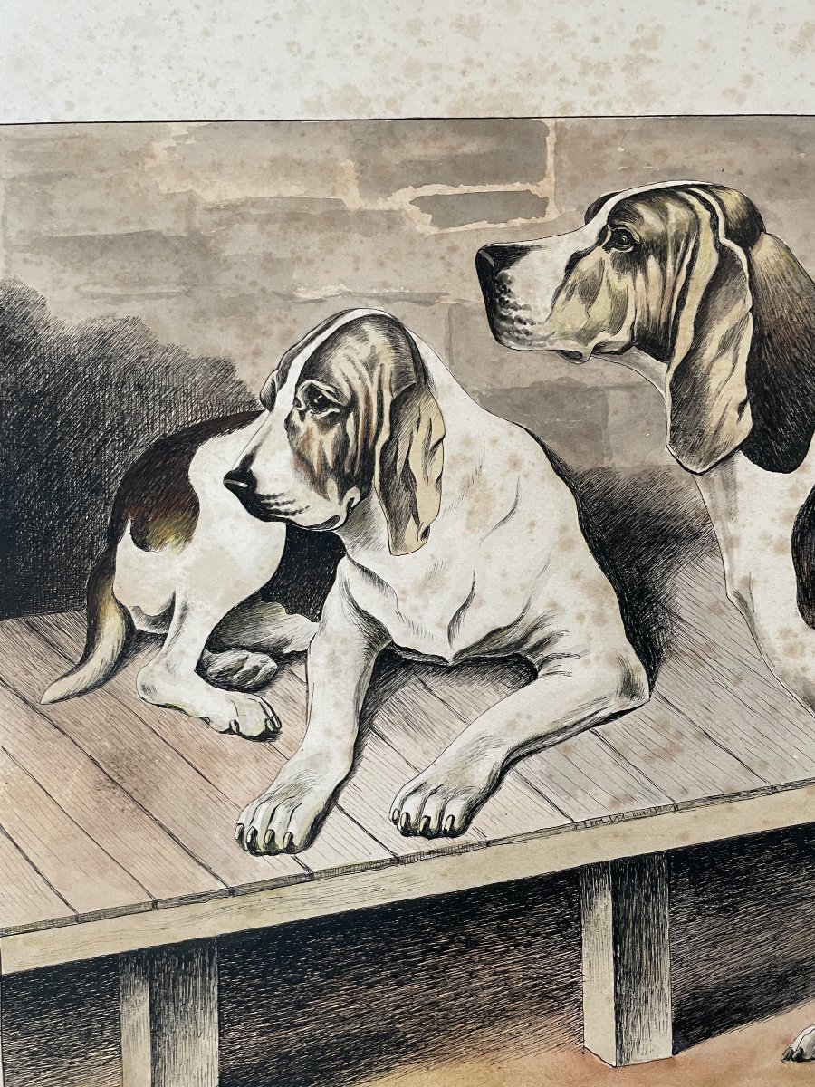 Chiens De Chasse, Watercolor Signed And Dated 1940-photo-2