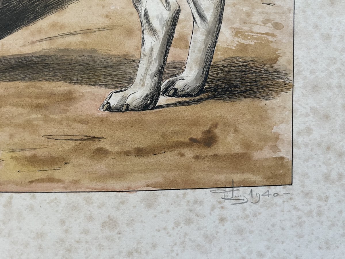 Chiens De Chasse, Watercolor Signed And Dated 1940-photo-3