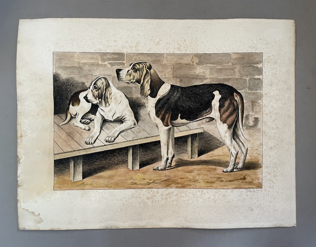 Chiens De Chasse, Watercolor Signed And Dated 1940