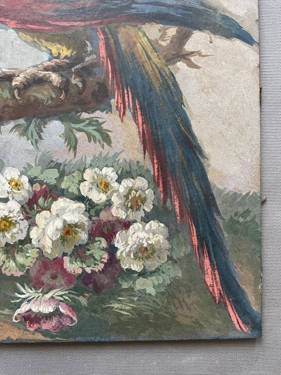 Perroquet, huile sur carton-photo-3