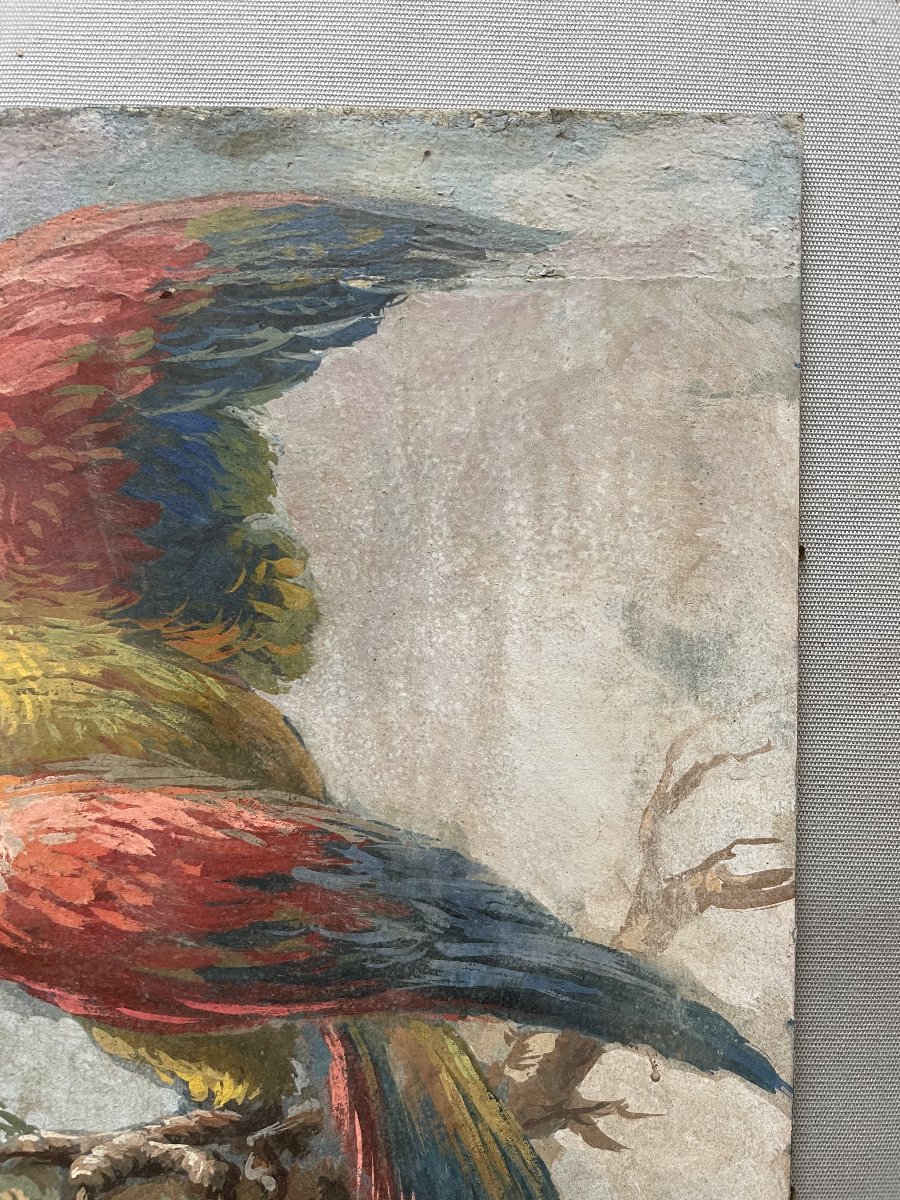 Perroquet, huile sur carton-photo-1