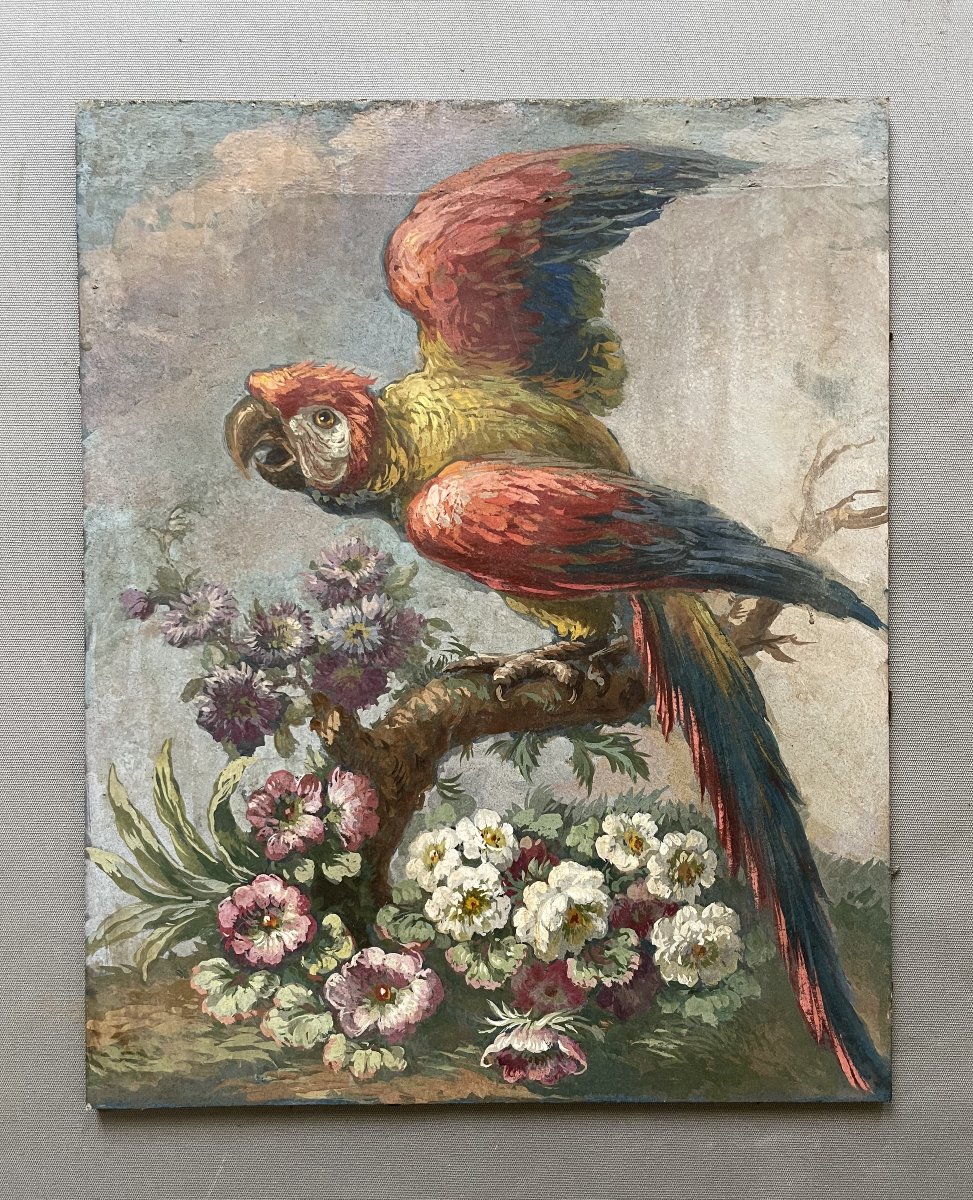 Perroquet, huile sur carton