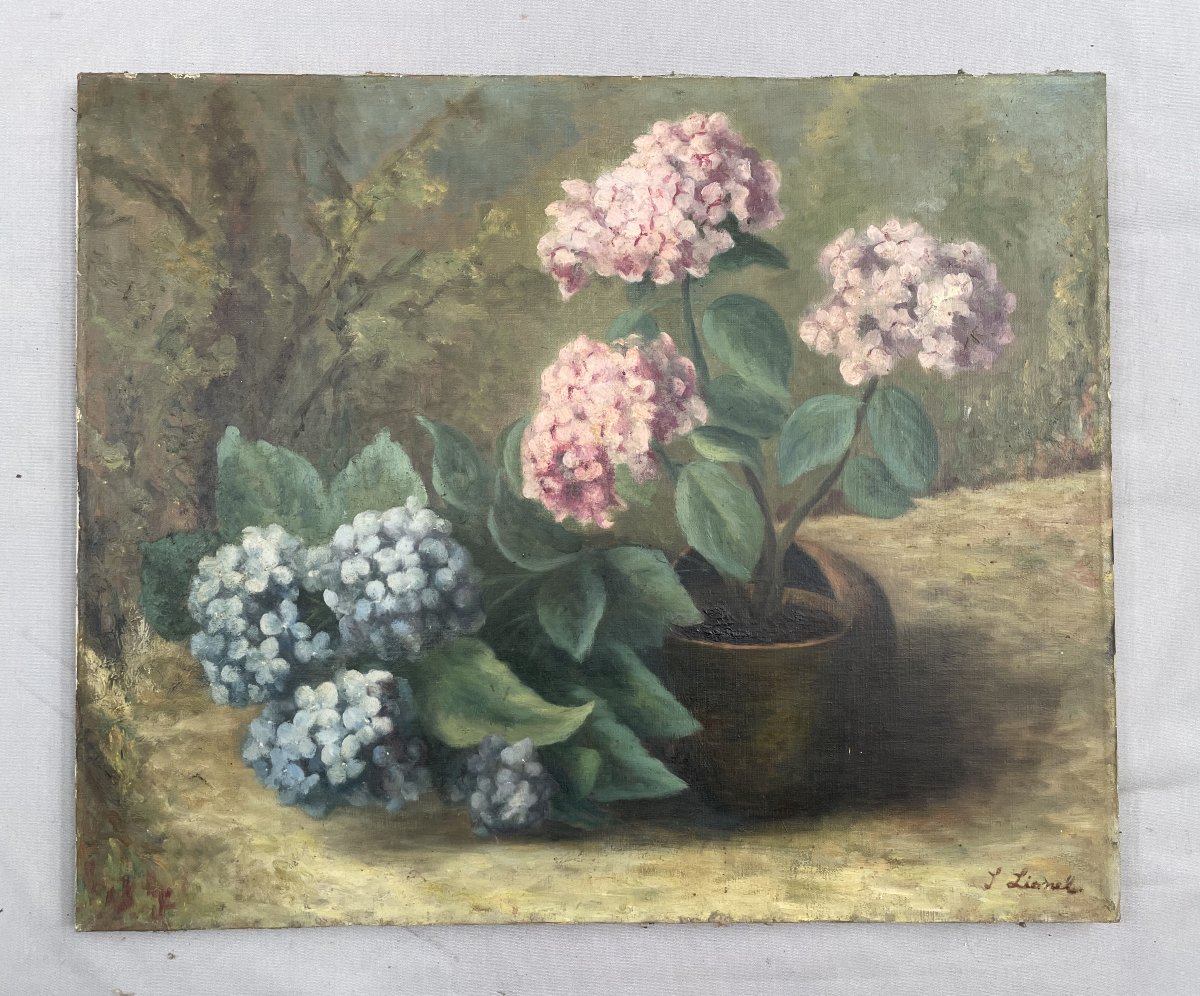 Hortensias, huile sur toile, grand format