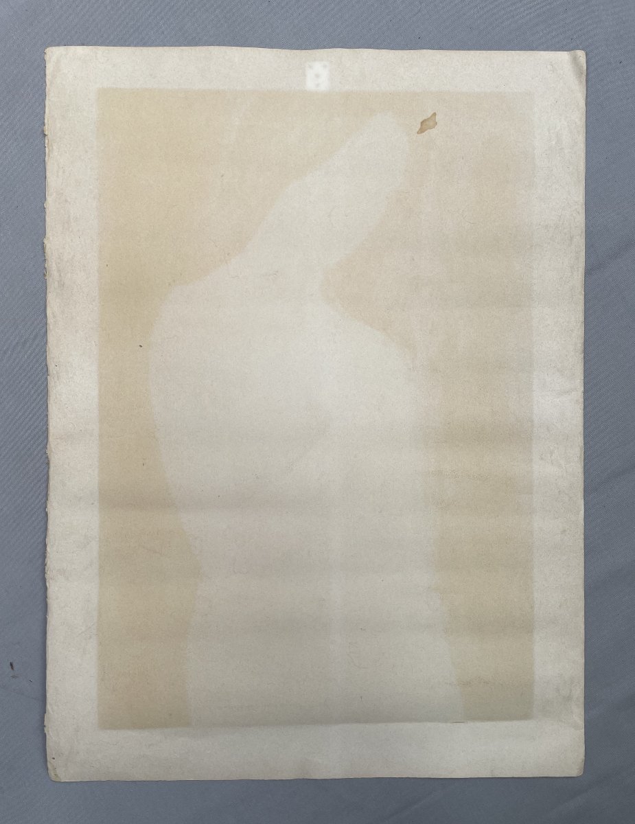 Alain Bonnefoit, Lithograph-photo-4