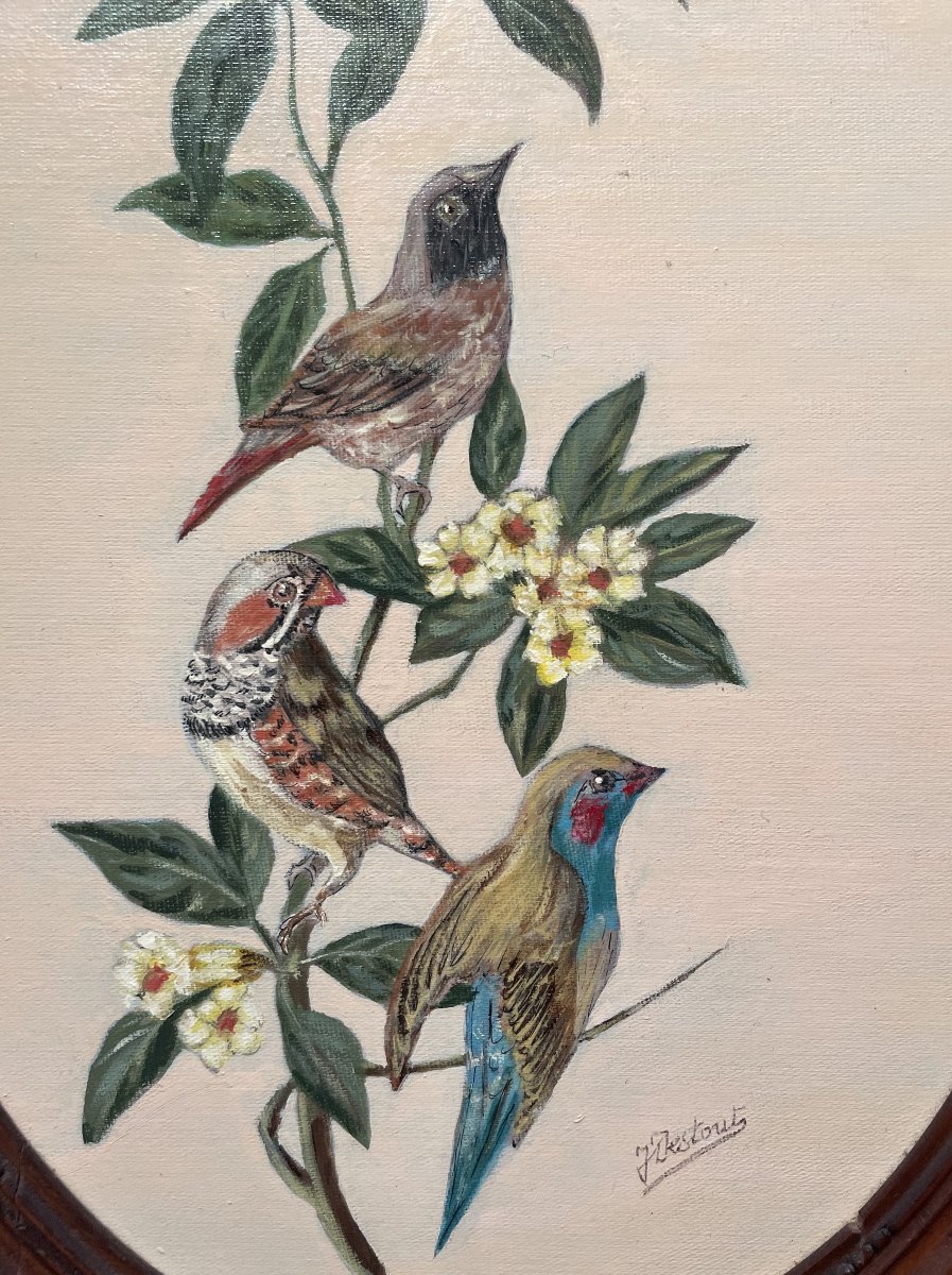 Oiseaux exotiques, huile sur toile-photo-2