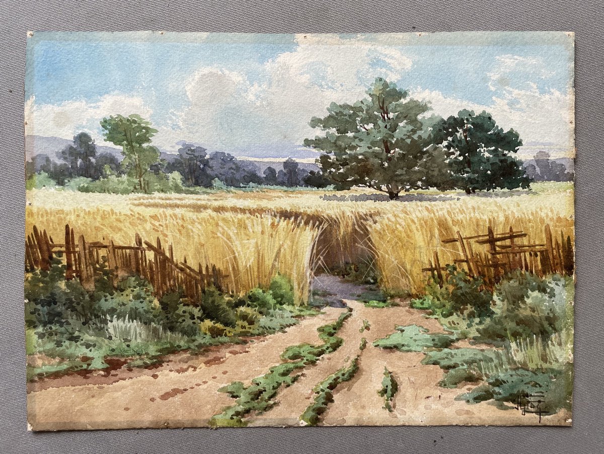 Champ de bl&eacute;, aquarelle, signature &agrave; identifier