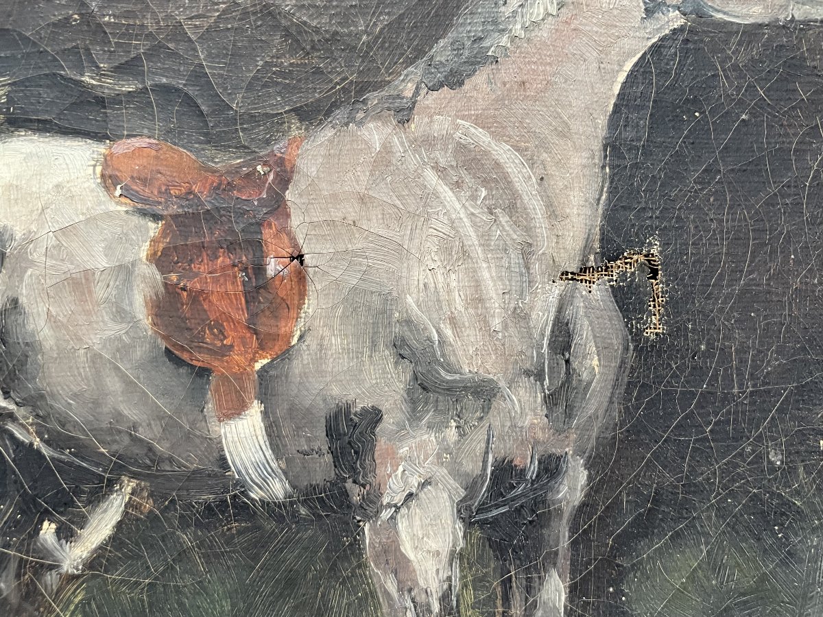 Horse, Oil On Canvas-photo-3