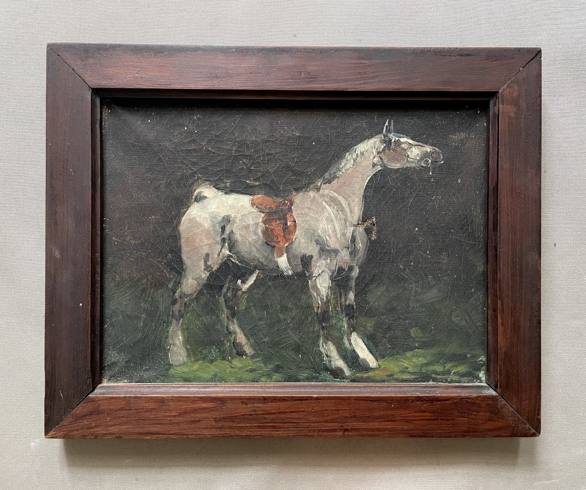 Horse, Oil On Canvas