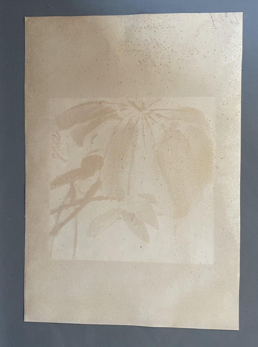 Estampe d'après Qi Baishi-photo-3