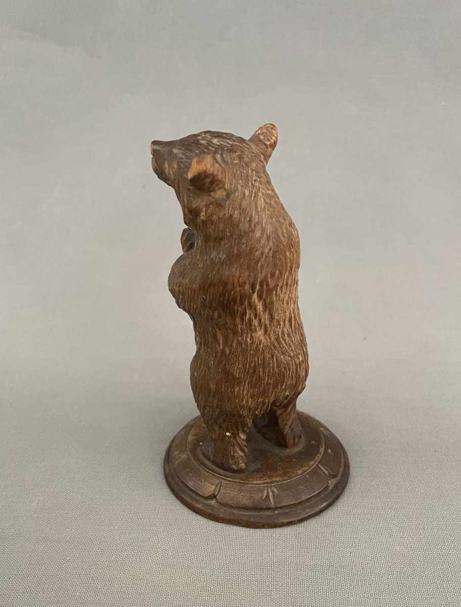 Bear Holding A Pen, Black Forest-photo-4