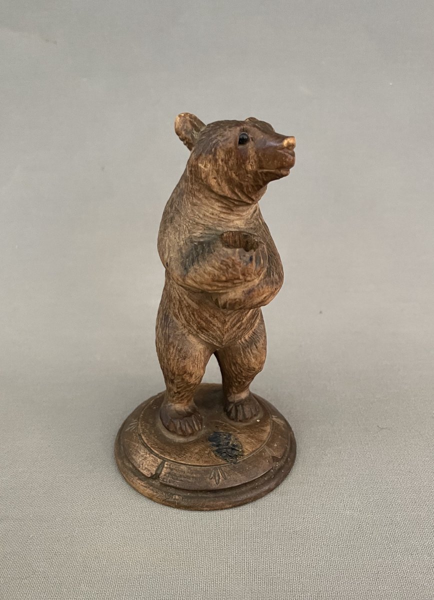 Bear Holding A Pen, Black Forest