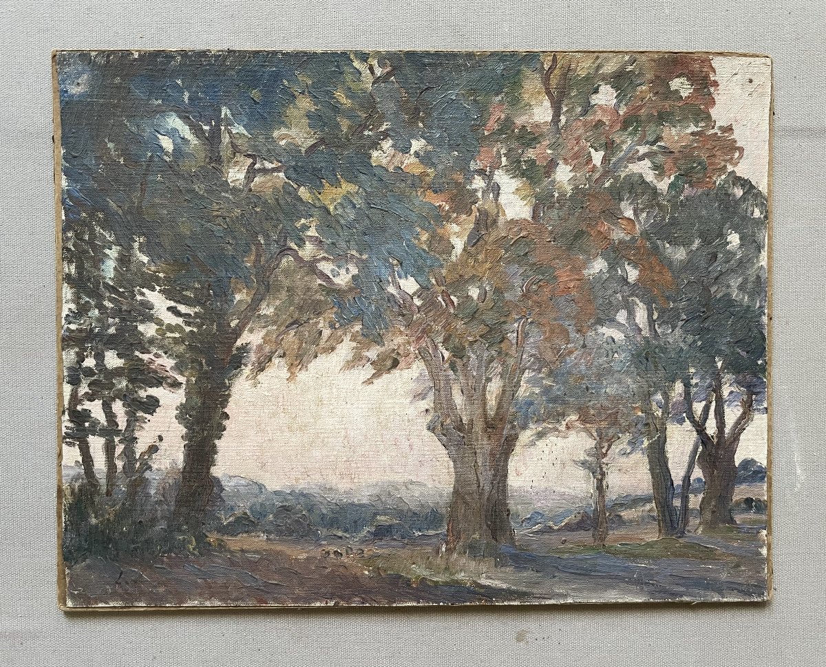 Paysage arboré, huile sur toile