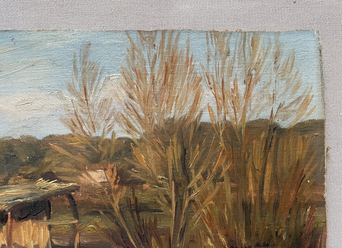 Meadow Near Antibes, Oil On Cardboard-photo-3