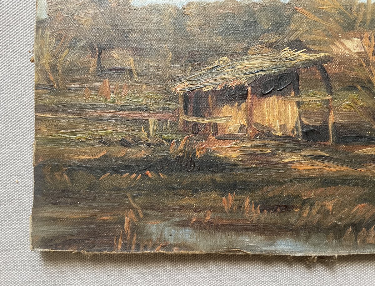 Meadow Near Antibes, Oil On Cardboard-photo-1