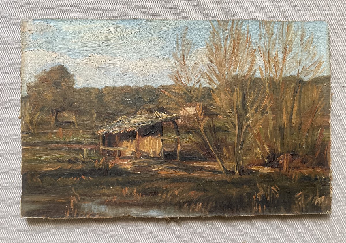 Meadow Near Antibes, Oil On Cardboard