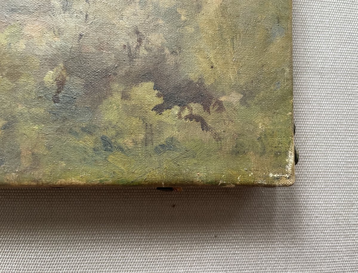 Pins, Oil On Canvas, Late 19th Or Early 20th Century-photo-2