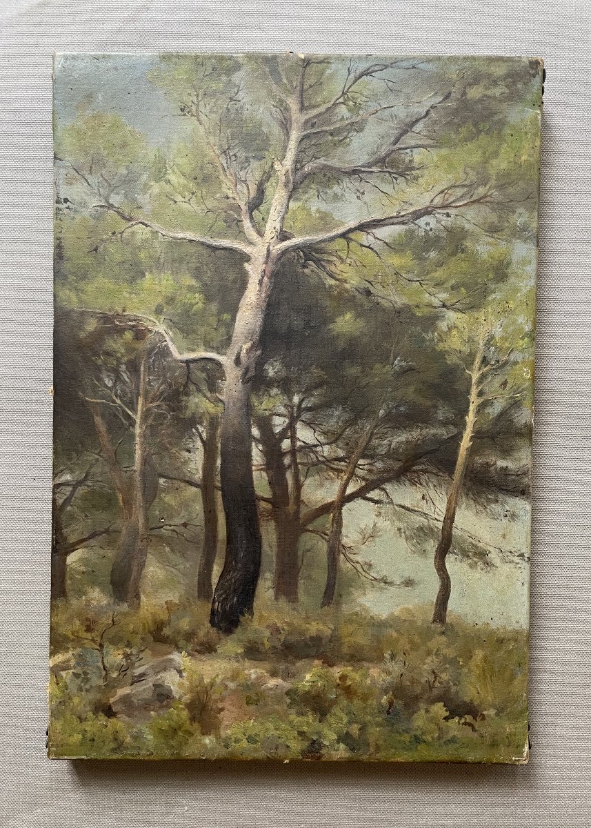 Pins, Oil On Canvas, Late 19th Or Early 20th Century