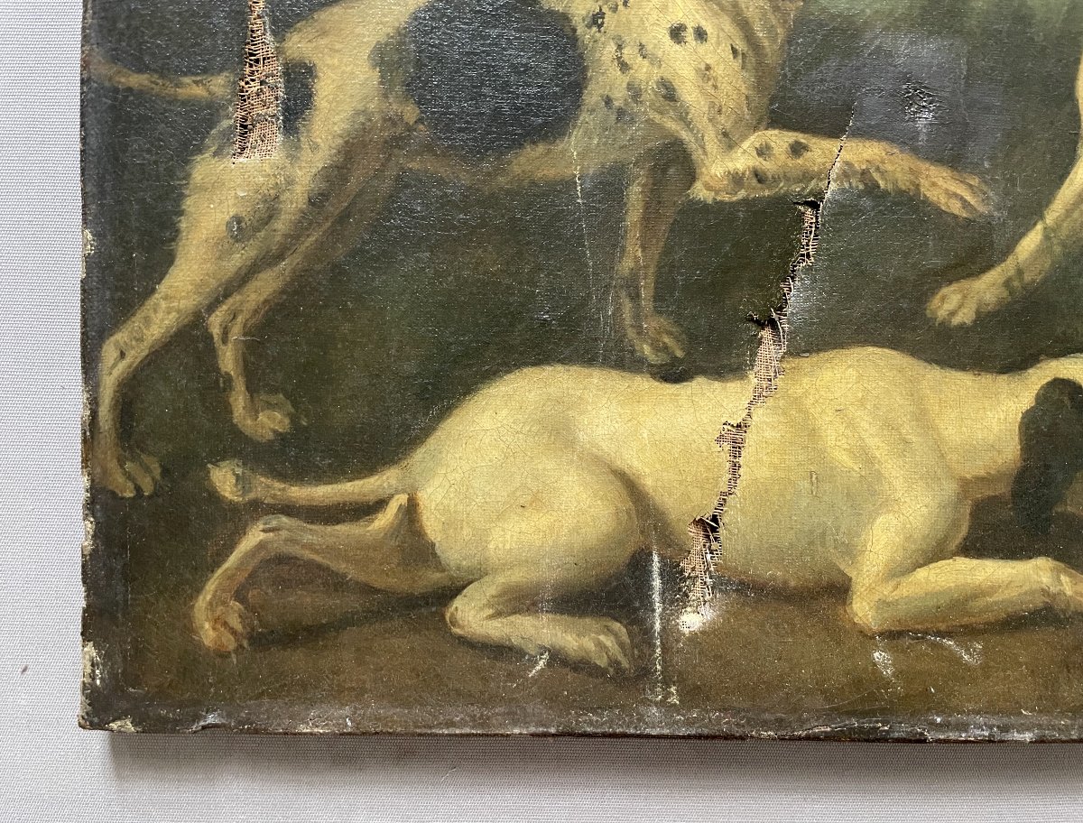 Hunting Dogs, Oil On Canvas, 19th Century Or Earlier-photo-1