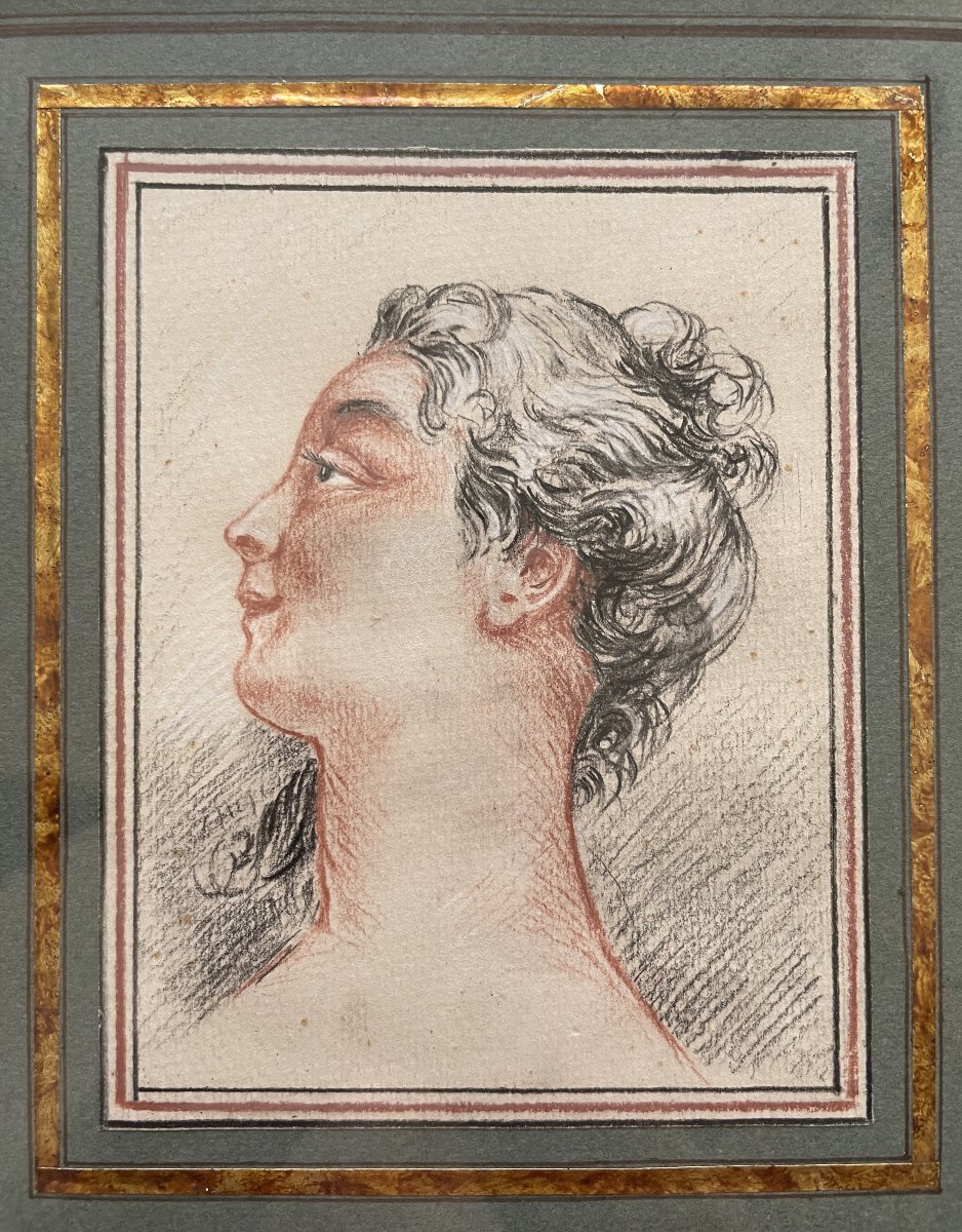 Profile Of A Woman, Drawn With Three Pencils-photo-2