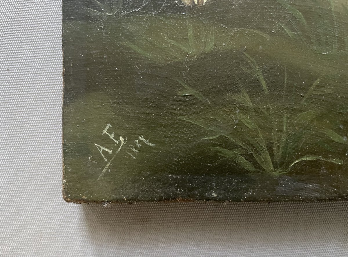 Hunting Dog, Oil On Canvas, 19th Century-photo-2