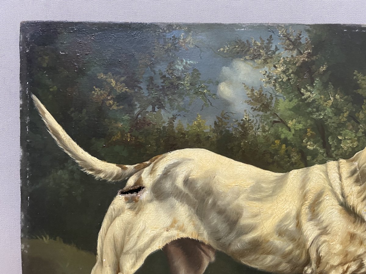 Hunting Dog, Oil On Canvas, 19th Century-photo-3