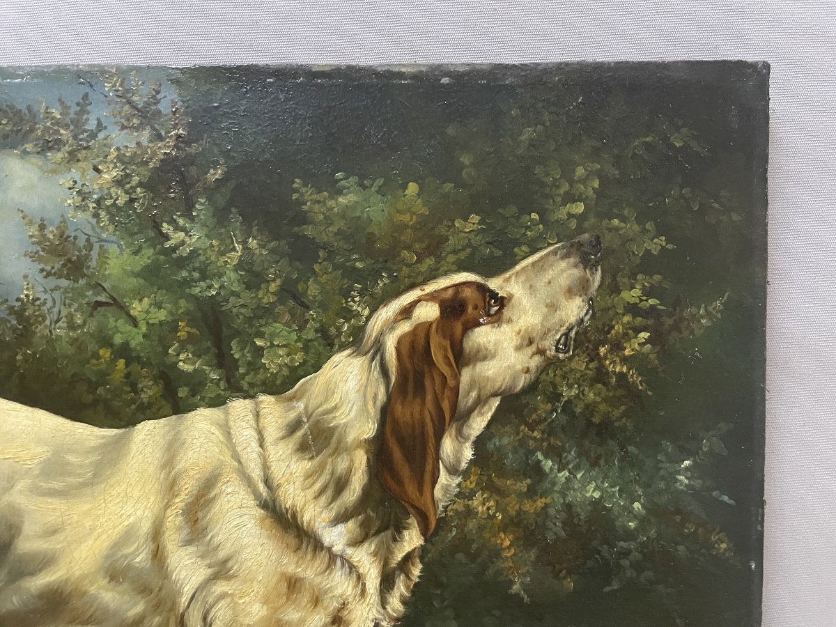 Hunting Dog, Oil On Canvas, 19th Century-photo-4