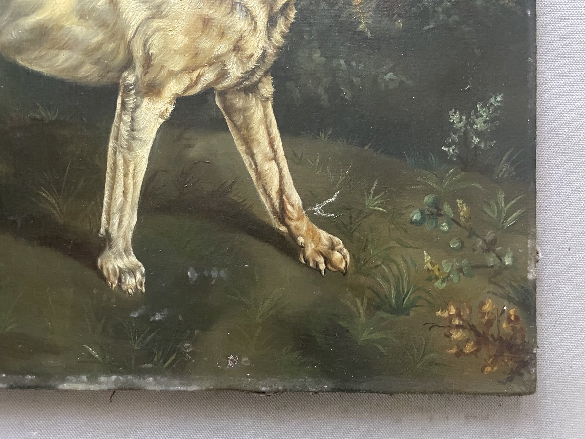 Hunting Dog, Oil On Canvas, 19th Century-photo-1