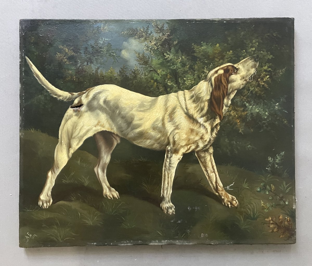 Hunting Dog, Oil On Canvas, 19th Century