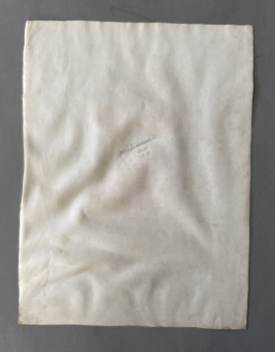 Coat Of Arms Painted On Vellum, 19th Century-photo-4