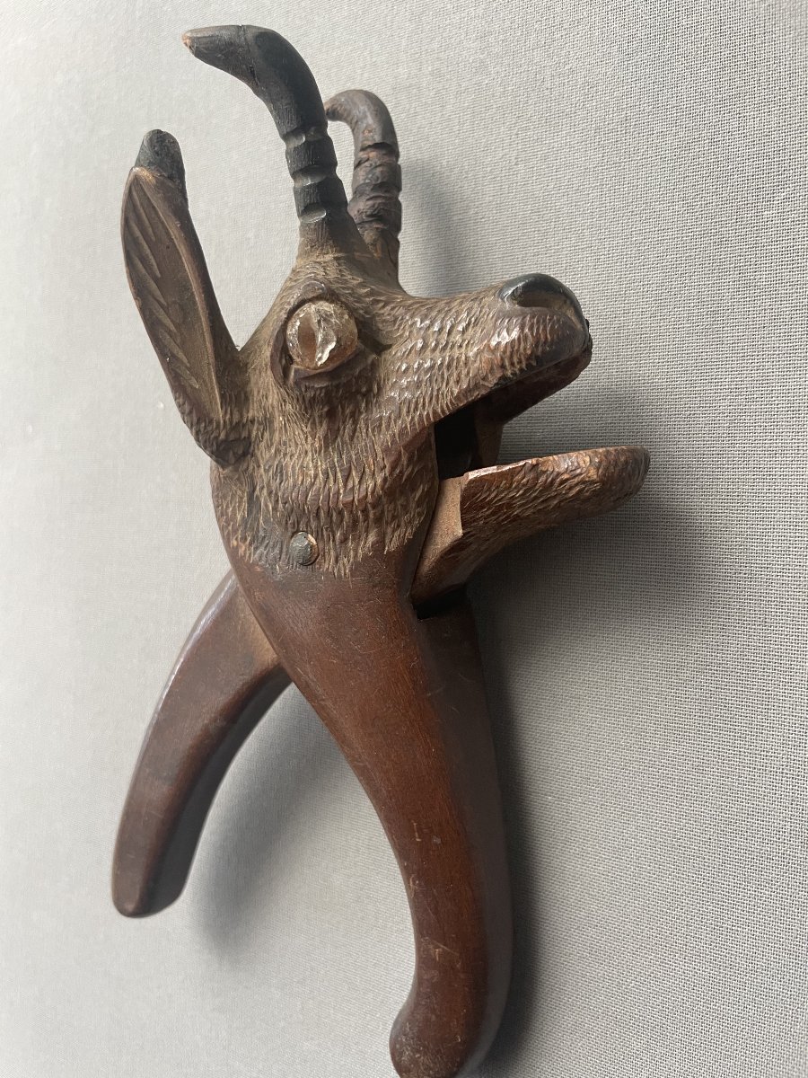 Chamois-head Nutcracker, Black Forest-photo-4
