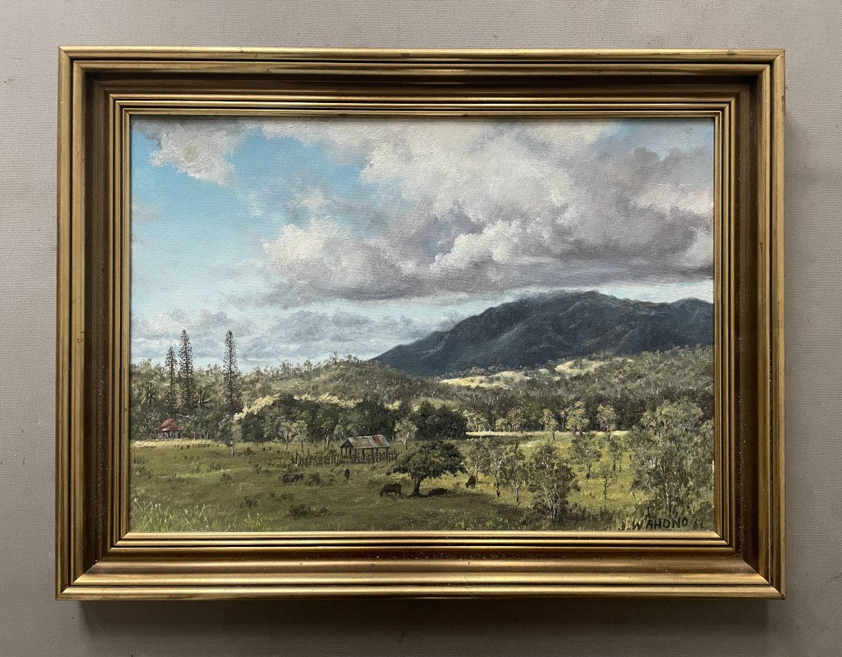 Johannes Wahono, Landscape Of New Caledonia