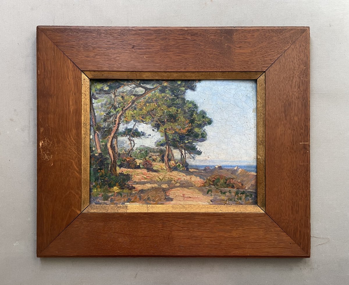 Louis Pastour, pins à Golfe Juan