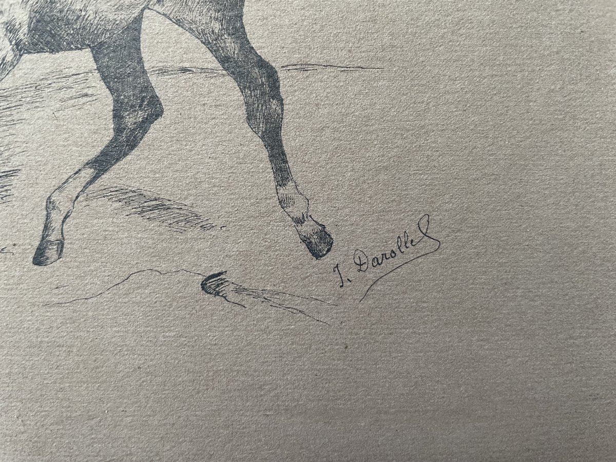 Jument arabe et son poulain, dessin à la plume, début XXe-photo-3
