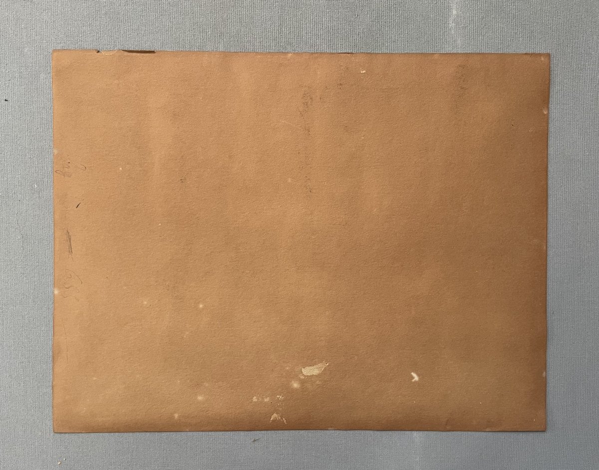 Jument arabe et son poulain, dessin à la plume, début XXe-photo-4