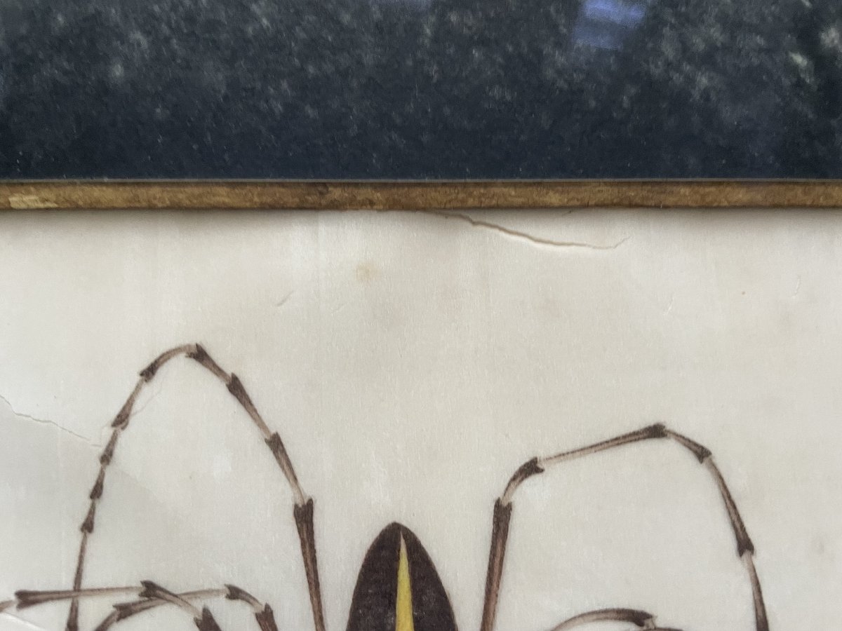 Spider And Its Prey, Canton School, 19th Century-photo-4