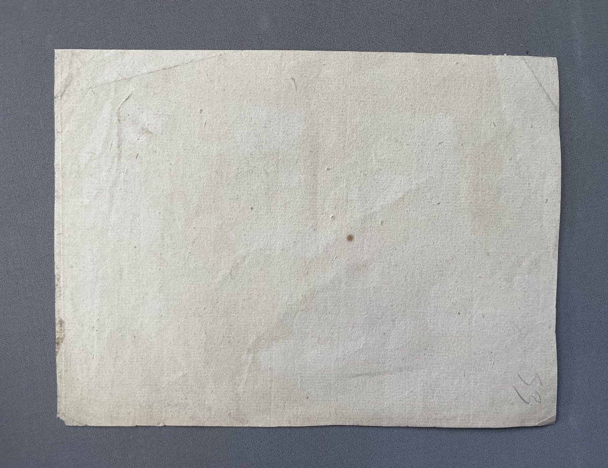Lions, gravure à la manière de la sanguine-photo-3