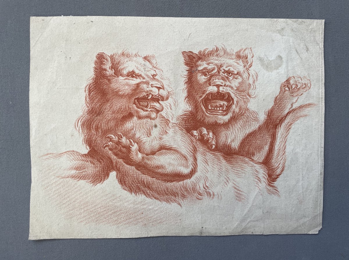 Lions, gravure à la manière de la sanguine