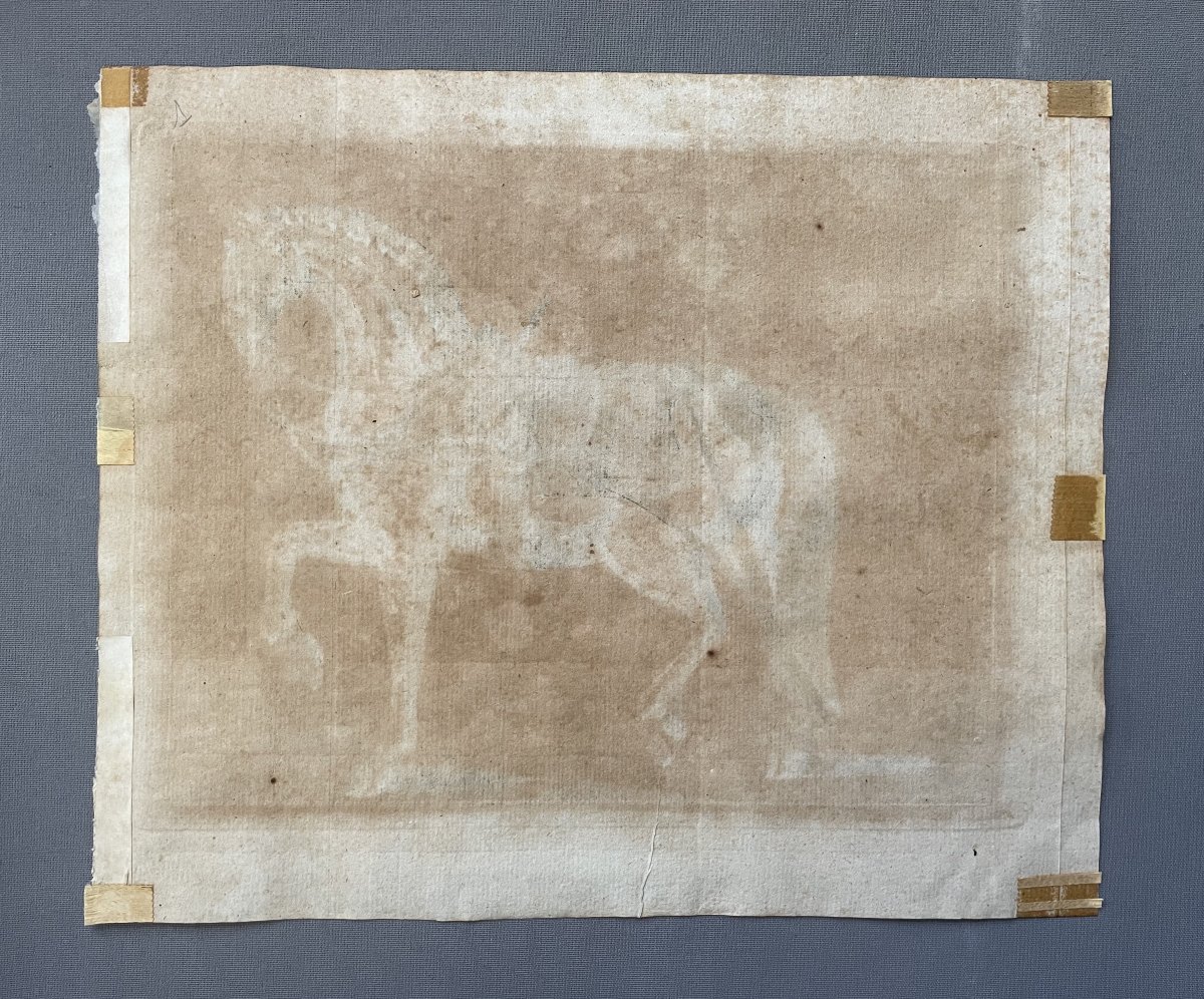 Harnessed Horse, Engraving, 18th Century-photo-3