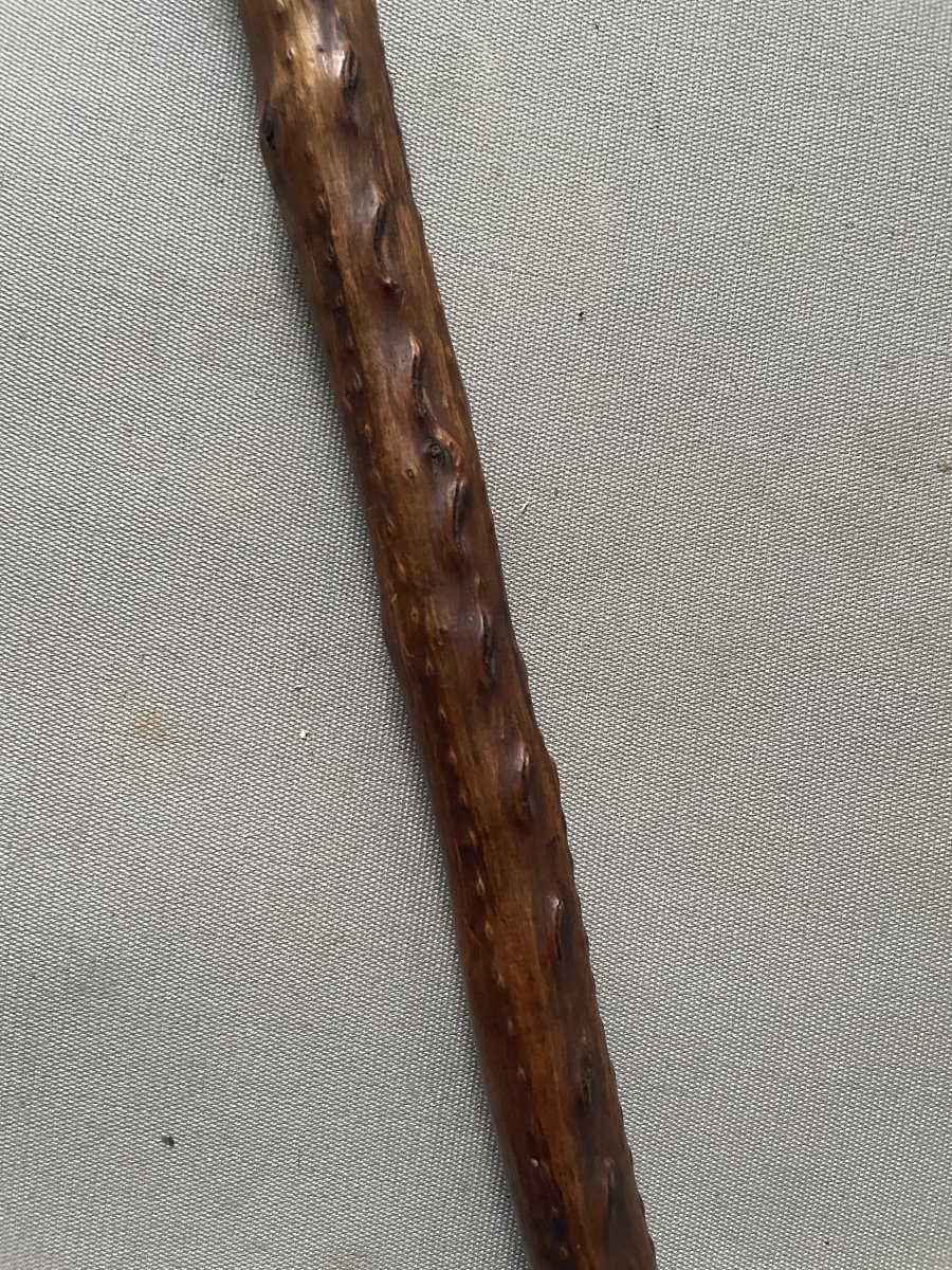 Makila-photo-1