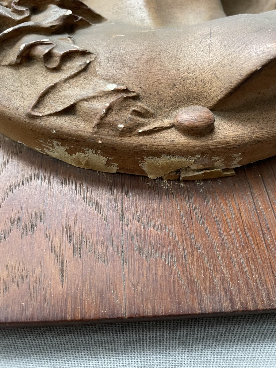 Patinated Plaster Medallion-photo-3