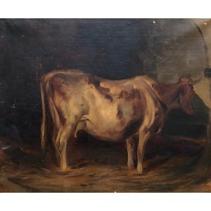 Cow In The Stable, Oil On Paper 19th Century 