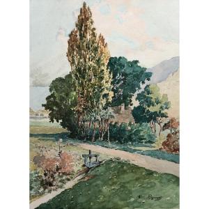 Wooded Path, Watercolor Early 20th Century, Signature To Identify