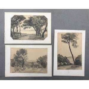 Pinède, Juan Les Pins, Three Drawings Early 20th Century