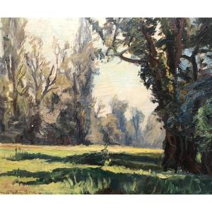 Undergrowth Landscape, Oil On Panel Signed P. Vauthier Oudine